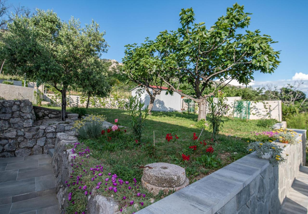 Villa Carmen Draga Bašćanska المظهر الخارجي الصورة